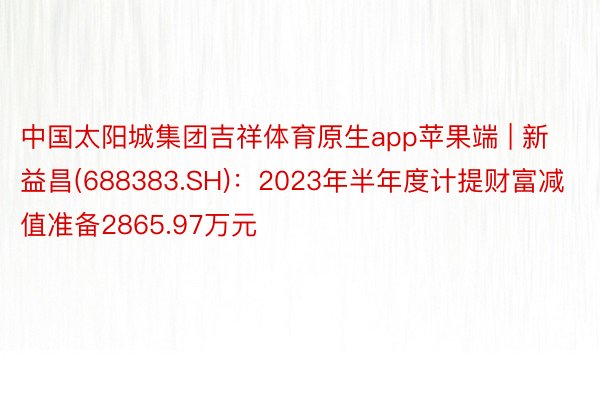 中国太阳城集团吉祥体育原生app苹果端 | 新益昌(688383.SH)：2023年半年度计提财富减值准备2865.97万元