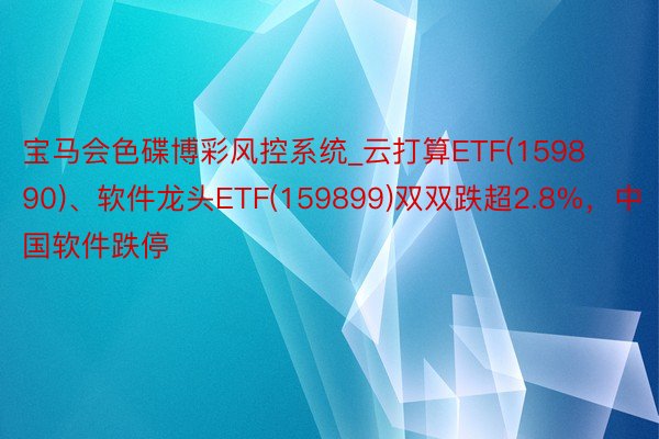 宝马会色碟博彩风控系统_云打算ETF(159890)、软件龙头ETF(159899)双双跌超2.8%，中国软件跌停