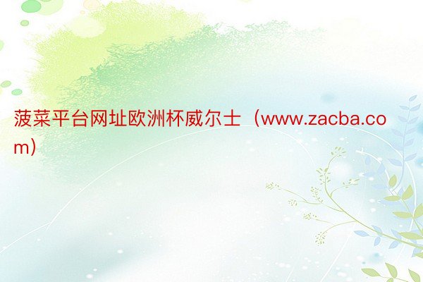 菠菜平台网址欧洲杯威尔士（www.zacba.com）