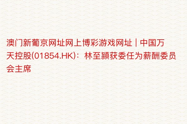 澳门新葡京网址网上博彩游戏网址 | 中国万天控股(01854.HK):林至頴获委任为薪酬委员会主席